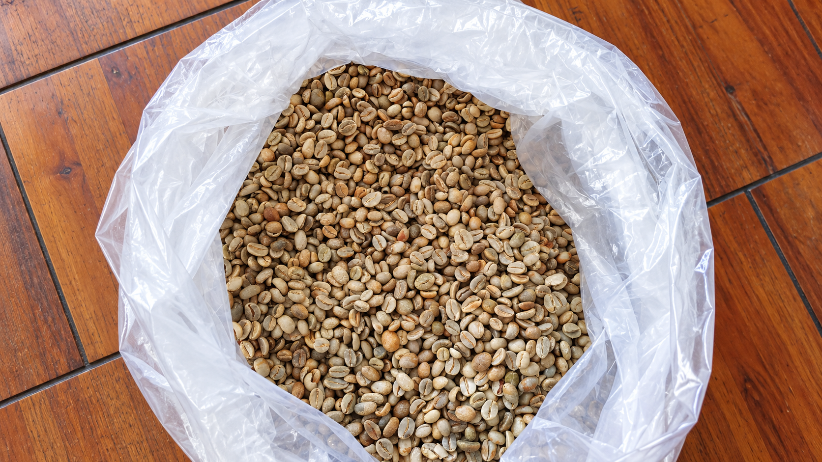 Foto biji kopi Arabika Ijen Natural Classic